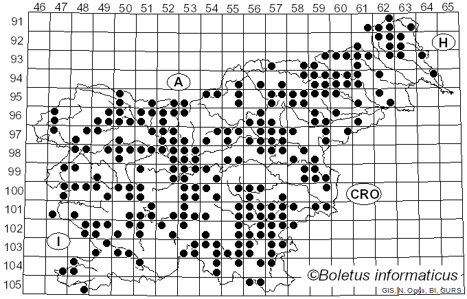 <i>Mycena pura</i> (Pers.) Sacc. (1871)