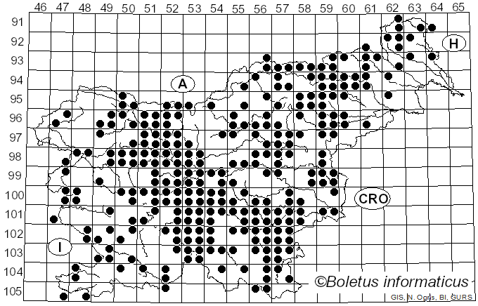 <i>Clitopilus prunulus</i> (Scop.) Fr. (1871)