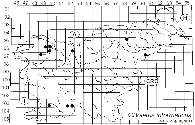 <i>Ramalina roesleri</i> (Hochst. ex Schaer.) Hue (1887)