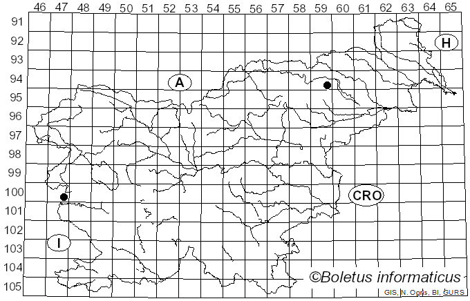 <i>Naucoria melinoides</i> (Bull.) P. Kumm. (1871)