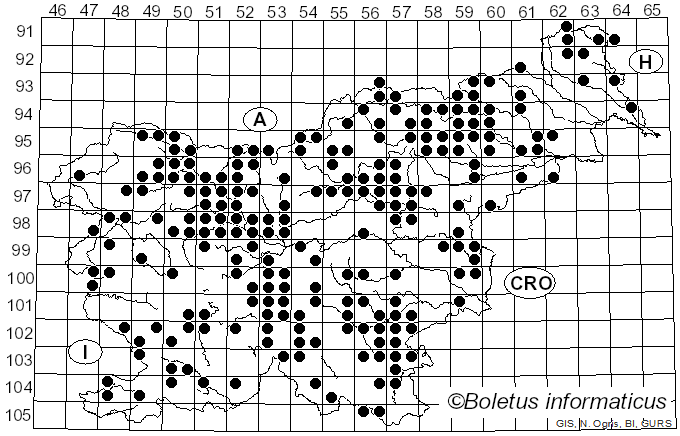 <i>Lactarius deterrimus</i> Gröger (1968)