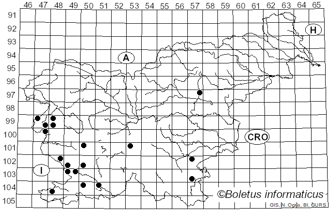 <i>Agaricus benesii</i> (Pilát) Pilát (1951)