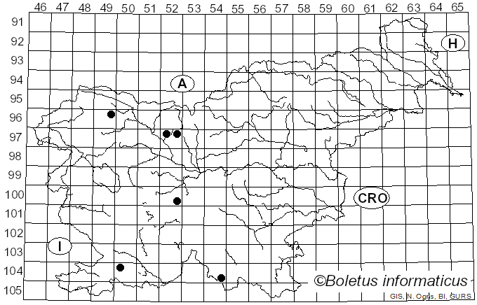 <i>Sarea resinae</i> (Fr.) Kuntze (1898)