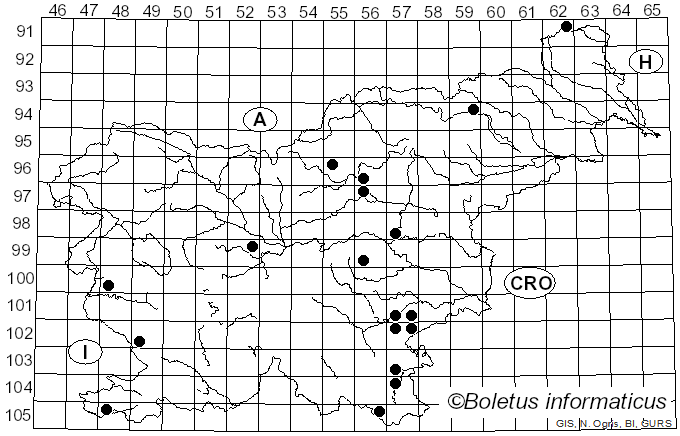 <i>Pluteus semibulbosus</i> (Lasch) Gillet (1874)