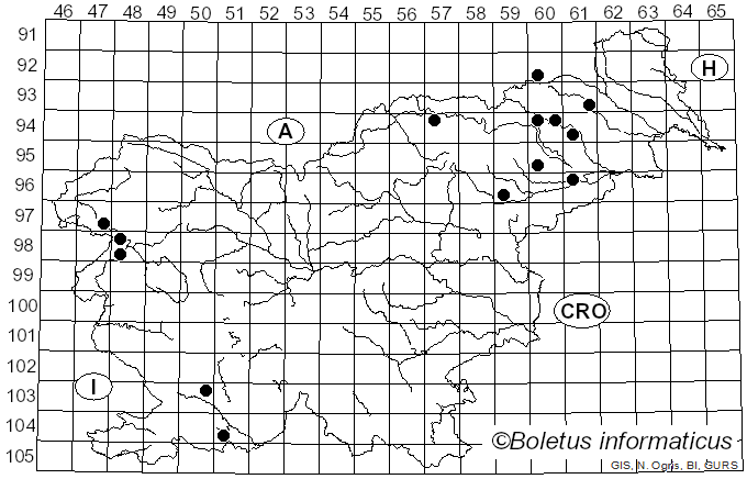 <i>Hymenoscyphus albidus</i> (Gillet) W. Phillips (1887)