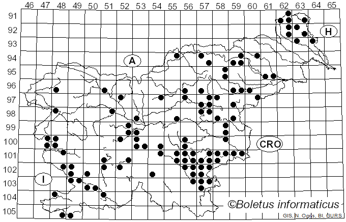 <i>Boletus aereus</i> Bull. (1791)