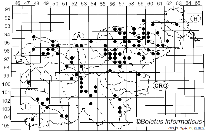 <i>Russula vinosa</i> Lindblad (1901)