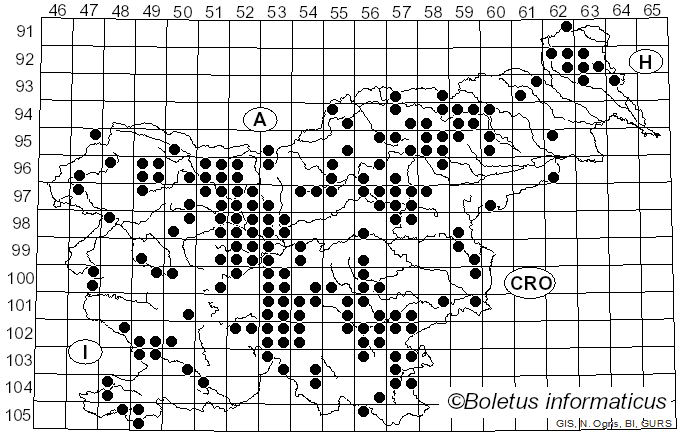 <i>Craterellus lutescens</i> (Fr.) Fr. (1838)