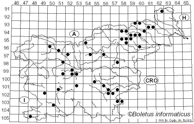 <i>Russula graveolens</i> Romell (1885)
