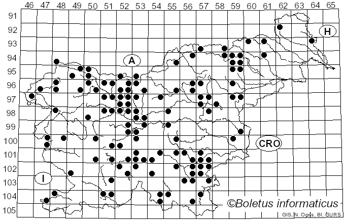 <i>Geastrum fimbriatum</i> Fr. (1829)