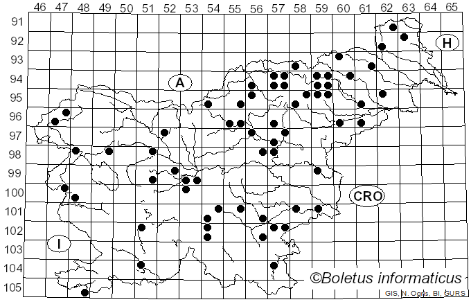 <i>Russula medullata</i> Romagn. (1997)