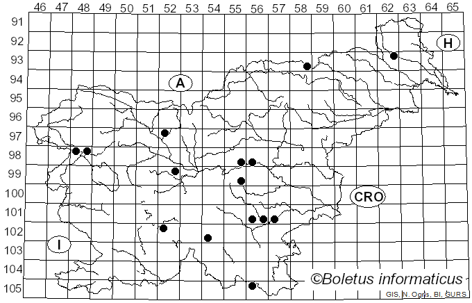 <i>Tricholoma umbonatum</i> (J.E. Lange) Clémençon & Bon