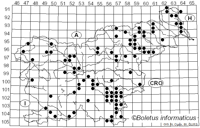 <i>Hymenopellis</i> R.H. Petersen (2010)