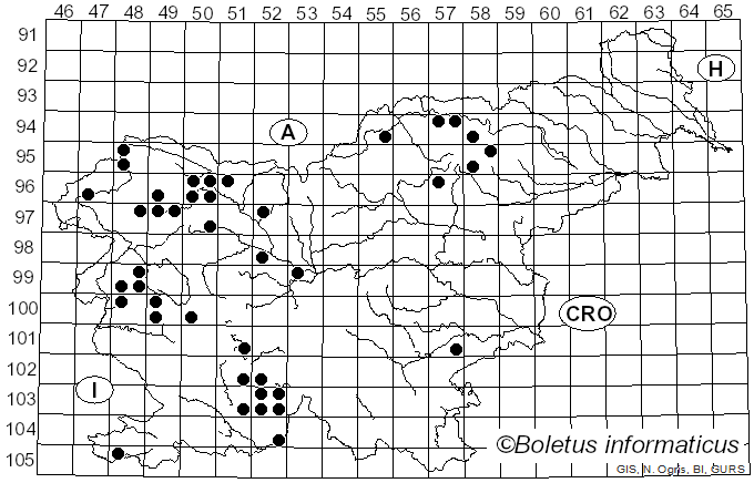 <i>Xanthoria parietina</i> (L.) Beltr. (1858)