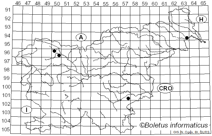 <i>Ditangium cerasi</i> (Schumach.) Costantin & L.M. Dufour (1891)