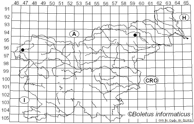 <i>Ganoderma australe</i> (Fr.) Pat. (1890)