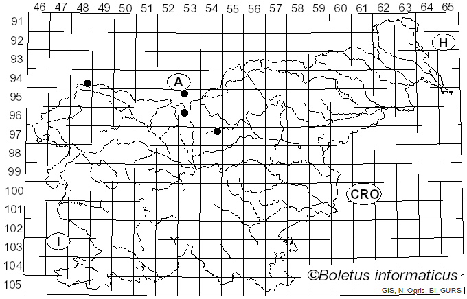 <i>Heringia pubescens</i> Delucchi & Pschorn-Walcher (1955)