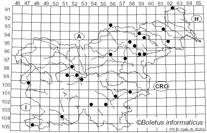 <i>Spongipellis</i> Pat. (1887)