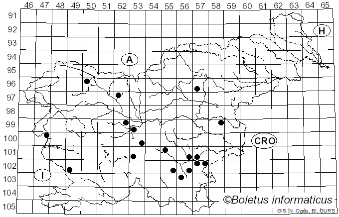 <i>Hygrophorus hedrychii</i> (Velen.) K. Kult (1956)