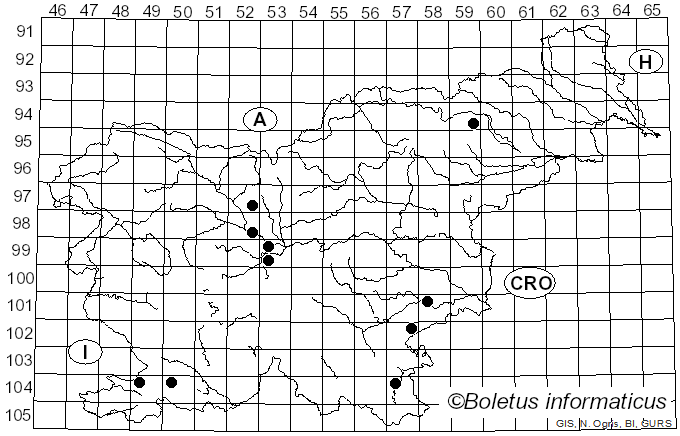 <i>Entoloma saundersii</i> (Fr.) Sacc. (1887)