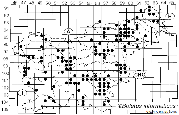 <i>Lactarius subdulcis</i> (Bull.) Gray (1821)