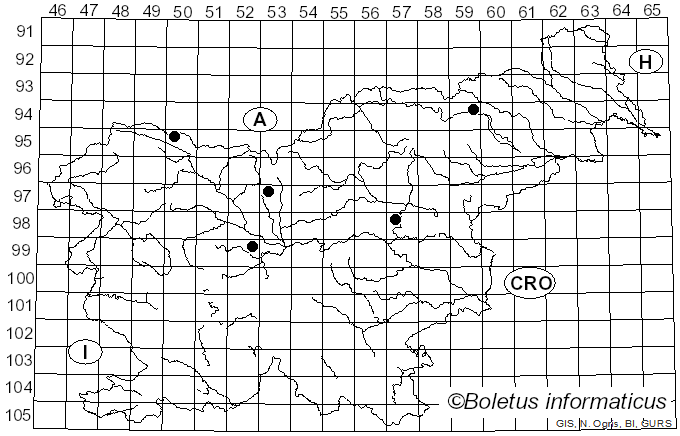 <i>Peronospora grisea</i> (Unger) de Bary (1863)