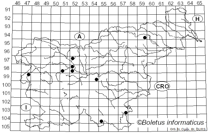 <i>Daldinia vernicosa</i> (Schwein.) Ces. & De Not. (1863)