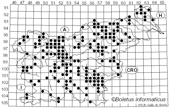 <i>Chalciporus piperatus</i> (Bull.) Bataille (1908)