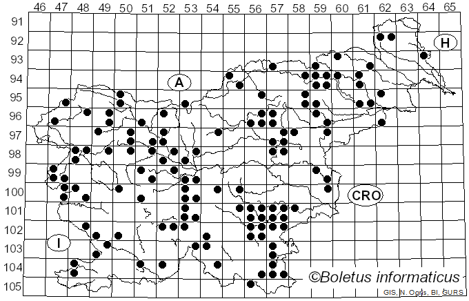 <i>Cortinarius infractus</i> Berk.
