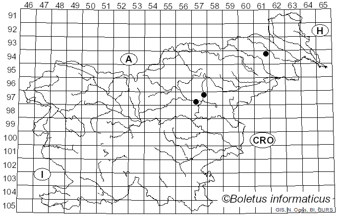 <i>Suillus bresadolae</i> var. <i>flavogriseus</i> Cazzoli & Consiglio (1998)