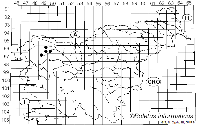 <i>Ramaria longispora</i> Marr & D.E. Stuntz (1974)
