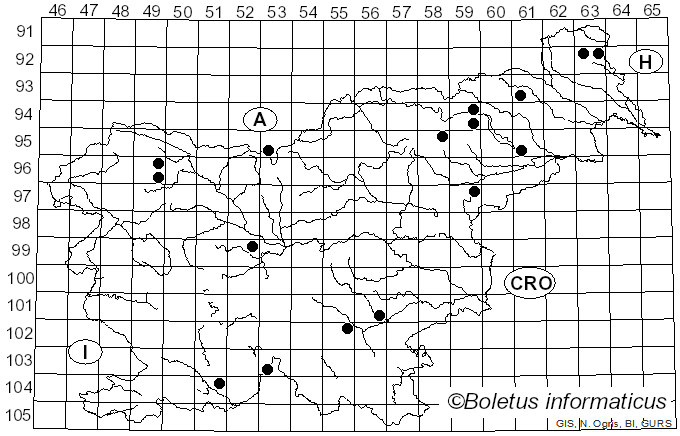 <i>Mycena silvae-nigrae</i> Maas Geest. & Schwöbel (1987)