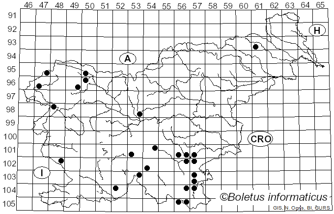 <i>Rubroboletus rubrosanguineus</i> (Cheype) Kuan Zhao & Zhu L. Yang (2014)