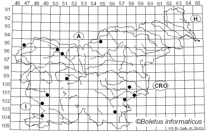 <i>Alternaria</i> Nees (1816)
