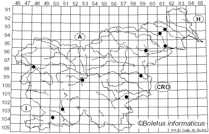 <i>Vitreoporus dichrous</i> (Fr.) Zmitr. (2018)