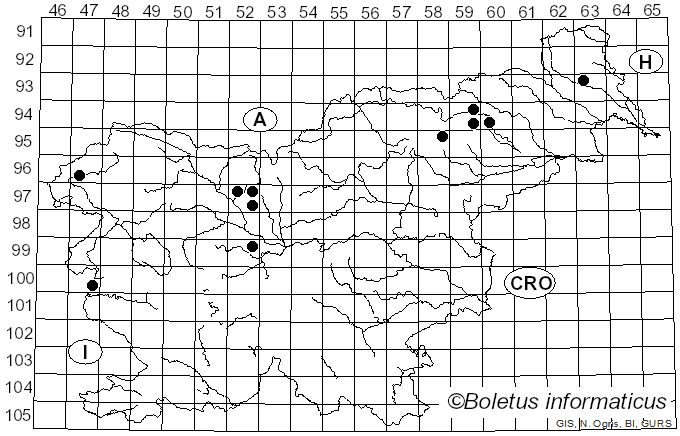 <i>Lepiota echinella</i> Quél. & G.E. Bernard (1888)