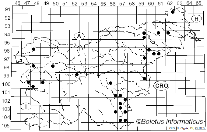 <i>Crepidotus crocophyllus</i> Berk.