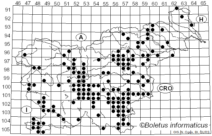 <i>Suillellus queletii</i> (Schulzer) Vizzini, Simonini & Gelardi (2014)
