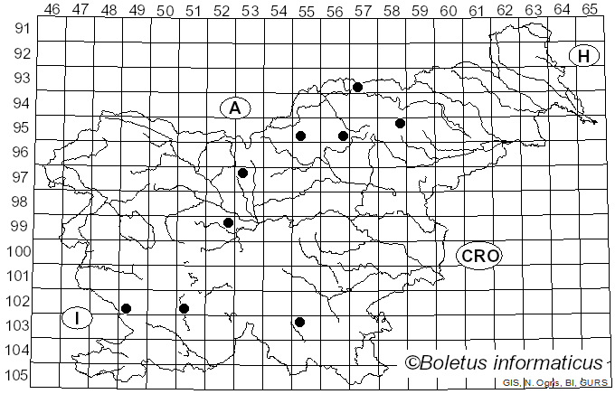 <i>Sirococcus conigenus</i> (Pers.) P.F. Cannon & Minter (1983)