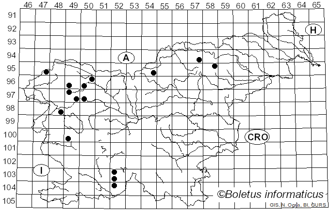 <i>Melanohalea exasperata</i> (De Not.) O. Blanco, A. Crespo, Divakar, Essl., D. Hawksw. & Lumbsch (2004)