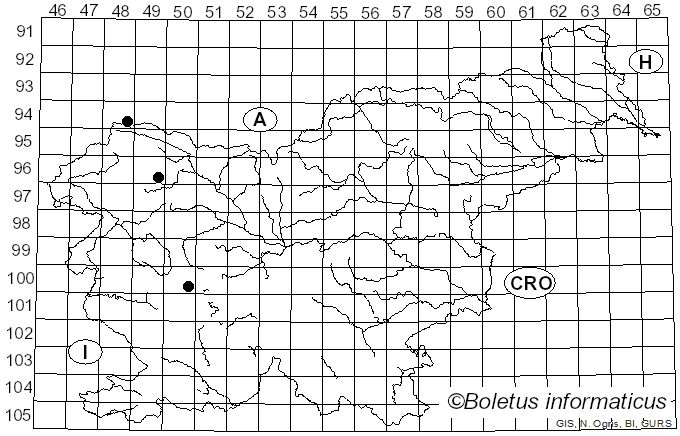 <i>Sphaerophoria virgata</i> Goeldlin (1974)