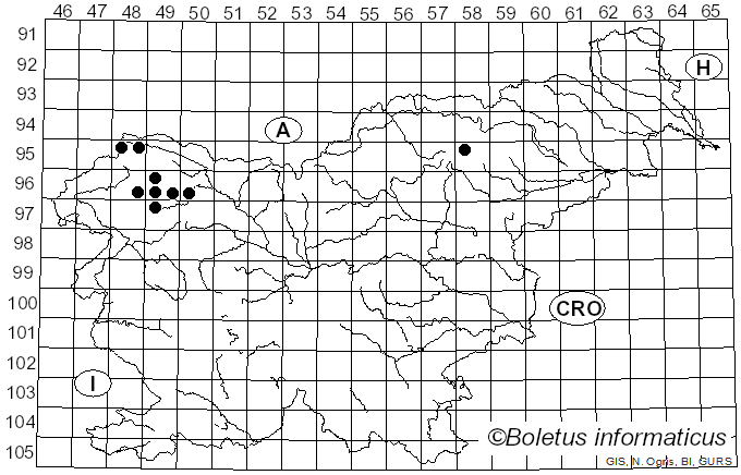 <i>Tuckneraria laureri</i> (Kremp.) Randlane & A. Thell (1994)