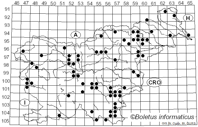 <i>Daldinia concentrica</i> (Bolton) Ces. & De Not. (1863)
