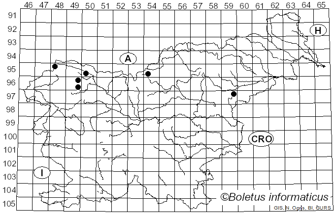 <i>Fomitopsis officinalis</i> (Vill.) Bondartsev & Singer (1941)