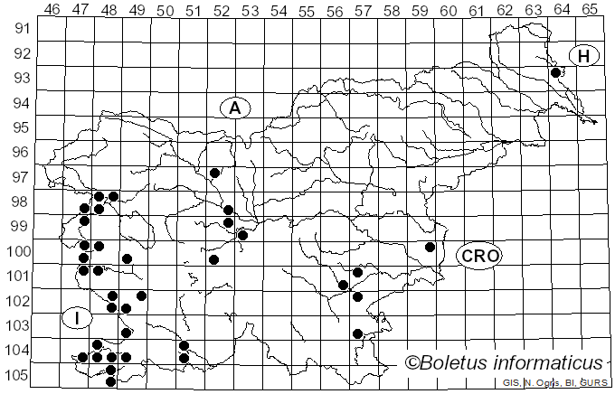 <i>Clathrus ruber</i> P. Micheli ex Pers. (1801)