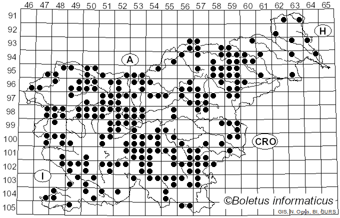 <i>Melanoleuca</i> Pat. (1897)