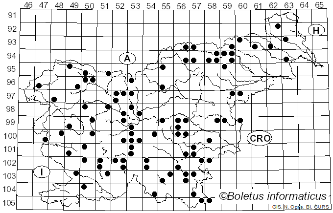 <i>Rhytisma acerinum</i> (Pers.) Fr. (1819)