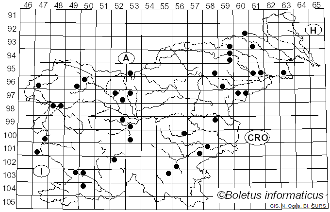 <i>Peniophora cinerea</i> (Pers.) Cooke (1879)