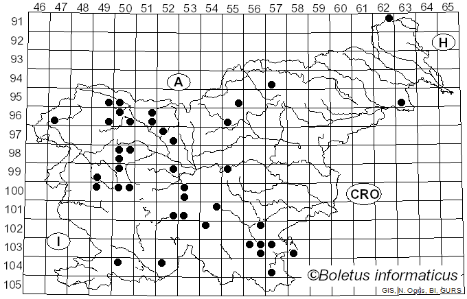 <i>Phragmotrichum chailletii</i> Kunze (1823)