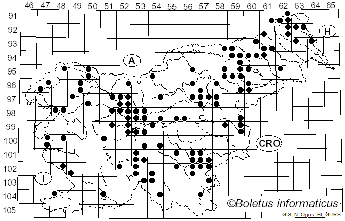 <i>Rhodocollybia asema</i> (Fr.) Bendiksen & Dima (2021)